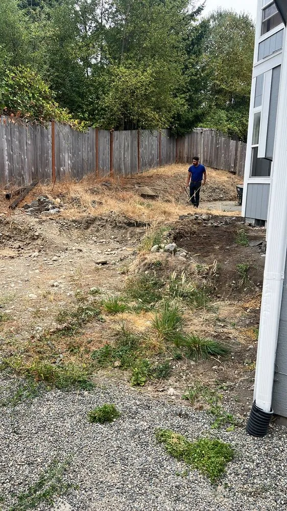 Affordable yard cleanup service in Graham, WA - Campbell Excavating