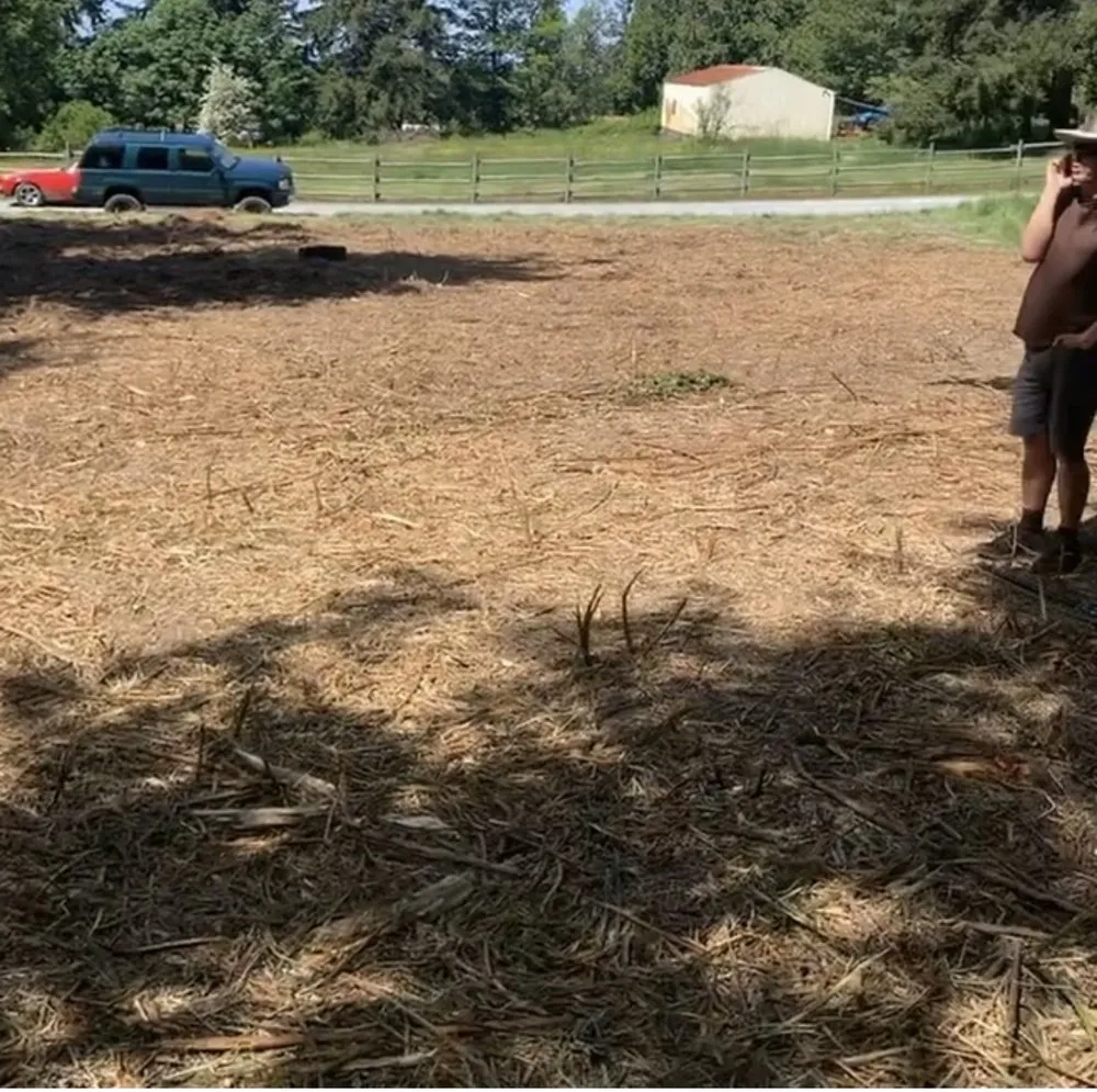 Top-rated landscaping services in Graham, WA - Campbell Excavating