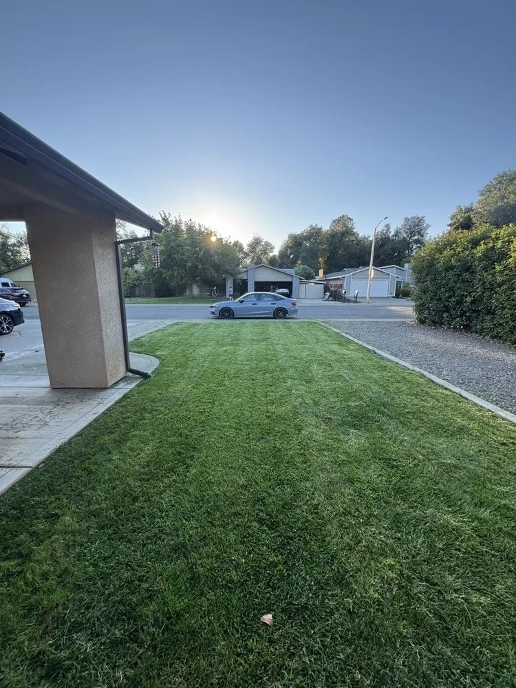 Affordable lawn care service for year-round maintenance in Redding, CA by Campbell Land Management and Services