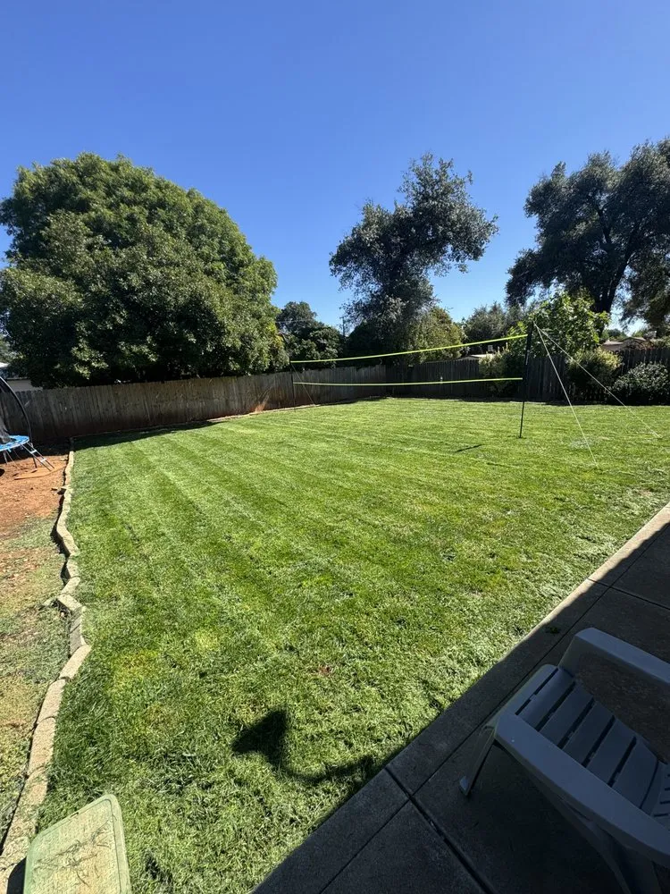 Top-rated landscaping services experts serving Redding, CA - Campbell Land Management and Services