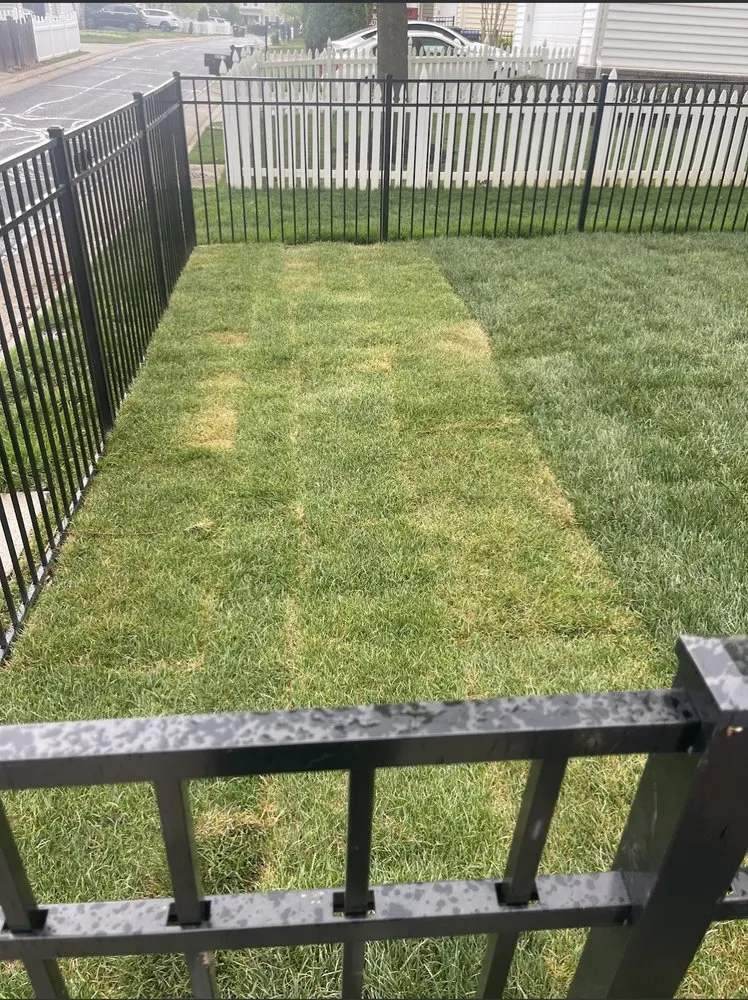 Reliable landscaping services experts serving Sterling, VA - Campbell Lawn & Irrigation