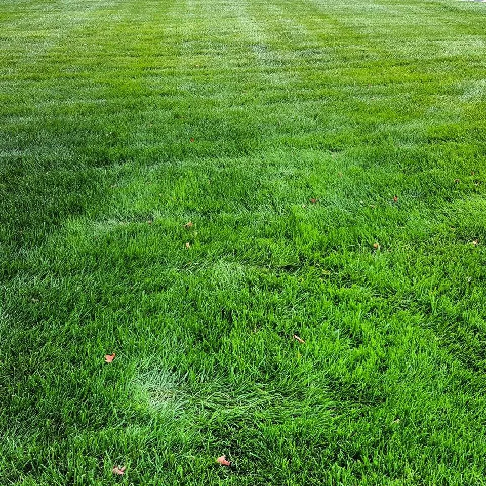 Trusted landscape design experts serving Sterling, VA - Campbell Lawn & Irrigation