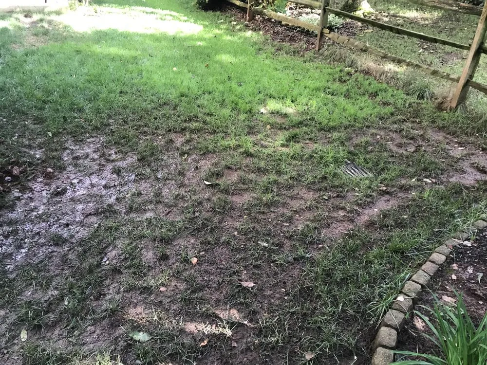 Local landscape installation in Sterling, VA by Campbell Lawn & Irrigation