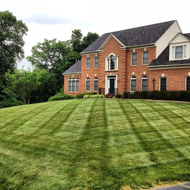 Trusted yard maintenance in Sterling, VA by Campbell Lawn & Irrigation