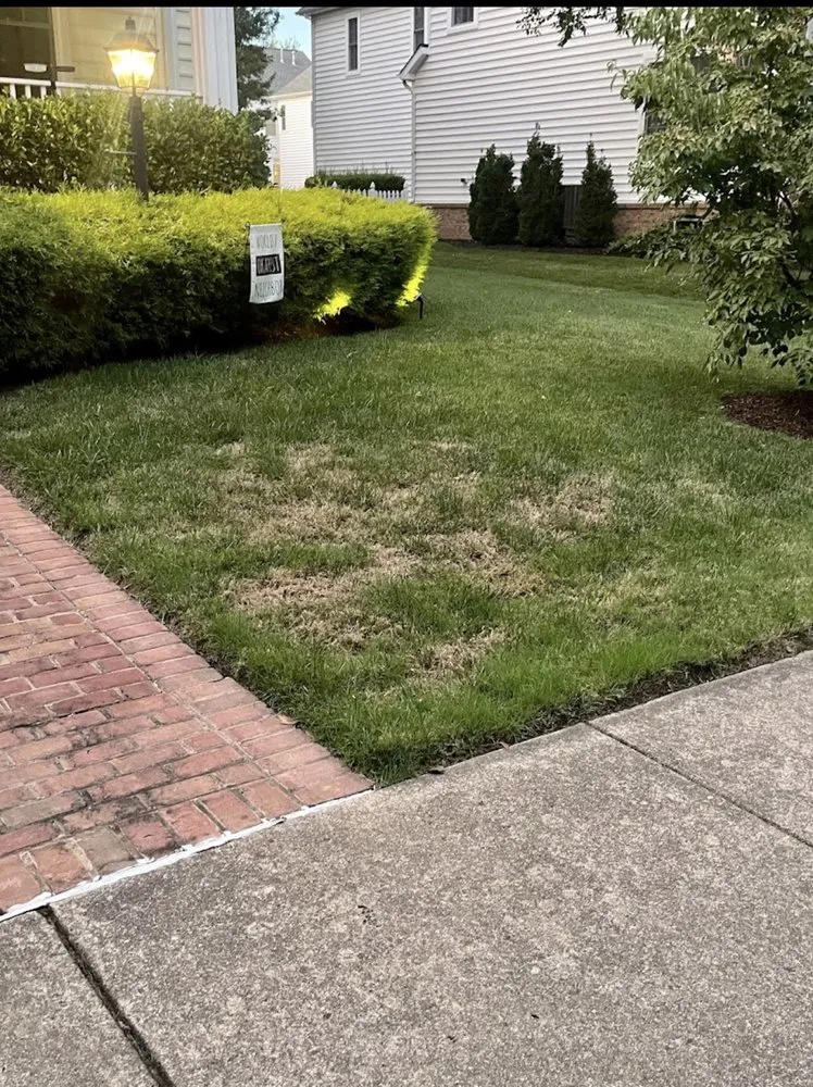 Affordable yard maintenance in Sterling, VA by Campbell Lawn & Irrigation