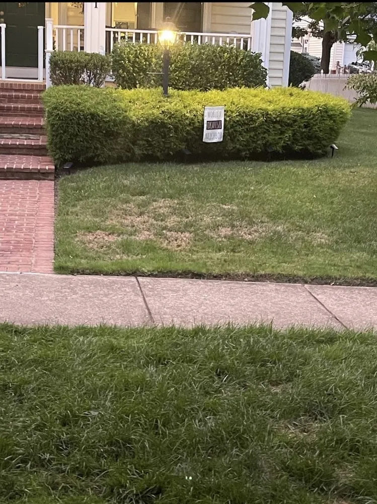 Affordable landscaping services for residential properties in Sterling, VA by Campbell Lawn & Irrigation