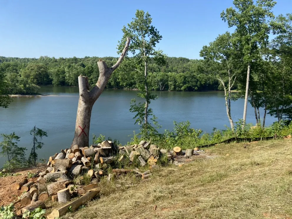 Custom yard maintenance for year-round maintenance in Lincolnton, NC by Campbell services