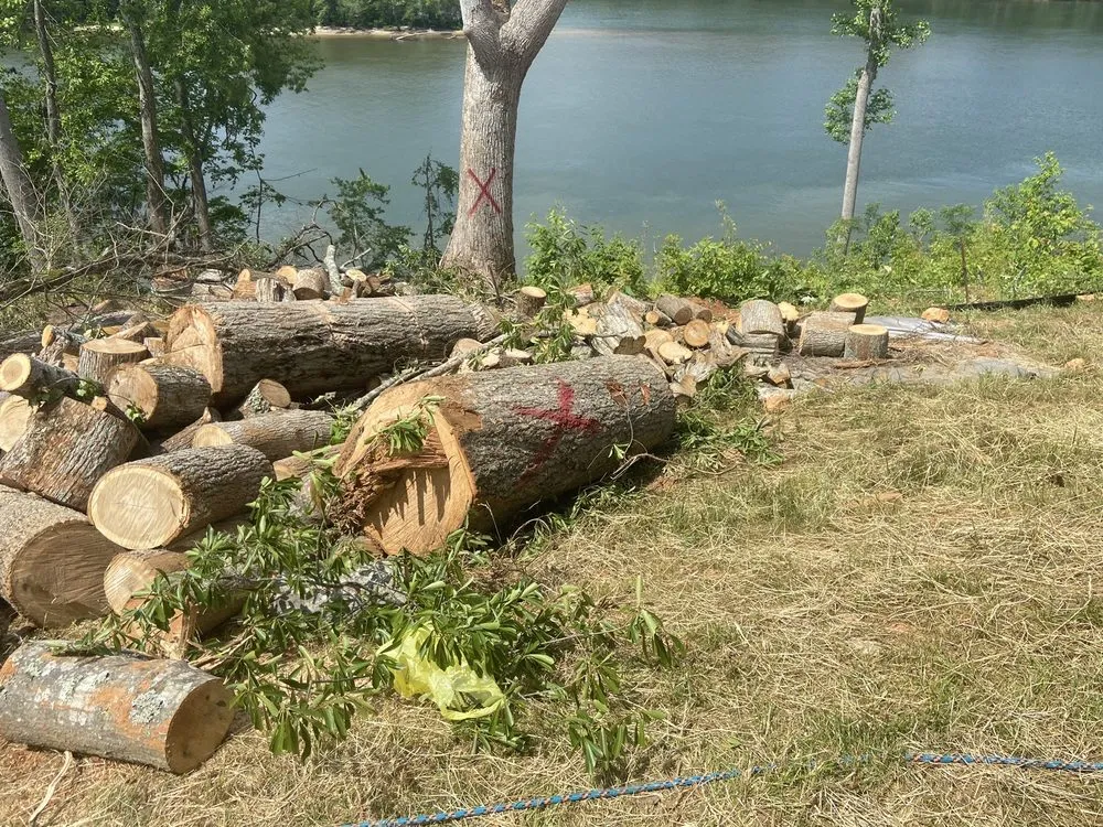 Local residential landscaping for residential properties in Lincolnton, NC by Campbell services