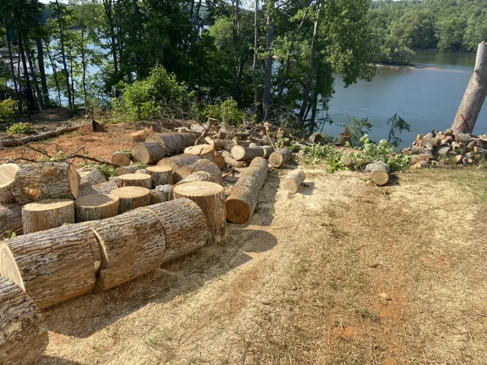 Affordable residential landscaping experts serving Lincolnton, NC - Campbell services