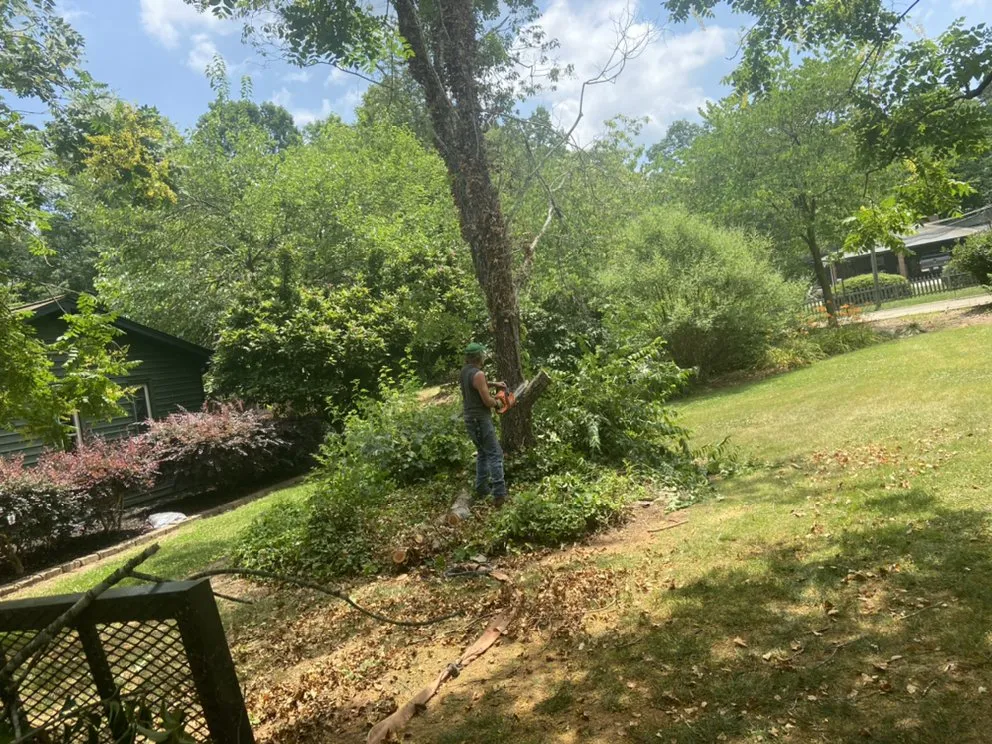 Top-rated yard maintenance for homes across Lincolnton, NC - Campbell services