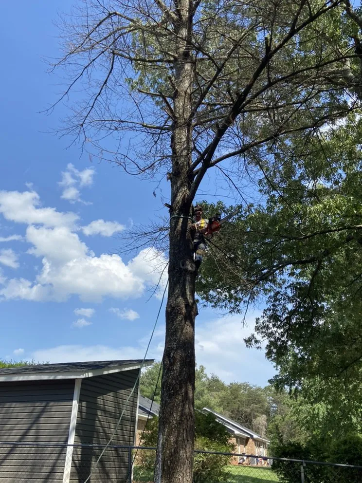 Top-rated residential landscaping experts serving Lincolnton, NC - Campbell services