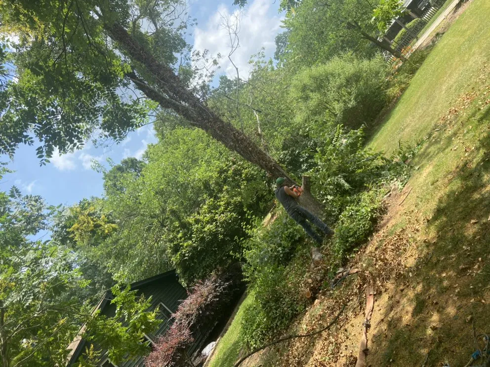 Top-rated landscape design for beautiful yards in Lincolnton, NC by Campbell services