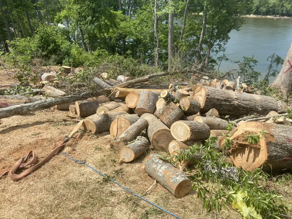 Affordable lawn mowing service in Lincolnton, NC by Campbell services