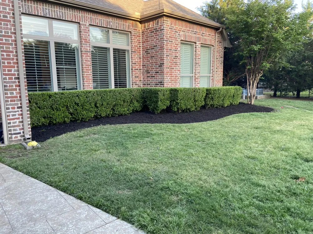 Top-rated lawn care service experts serving Parker, TX - Campbell Services