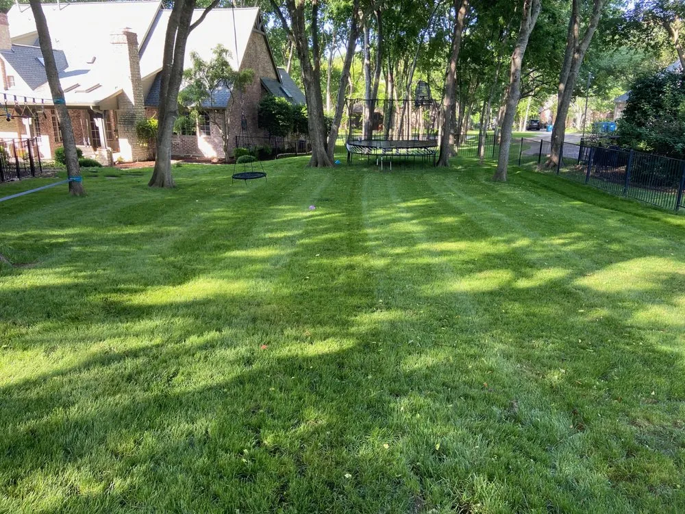 Expert landscaping services near you in Parker, TX by Campbell Services