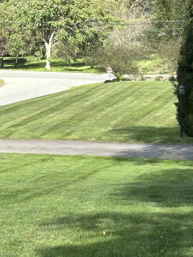 Top-rated yard maintenance in Chester, CT by Campbells Clean Out and Repair