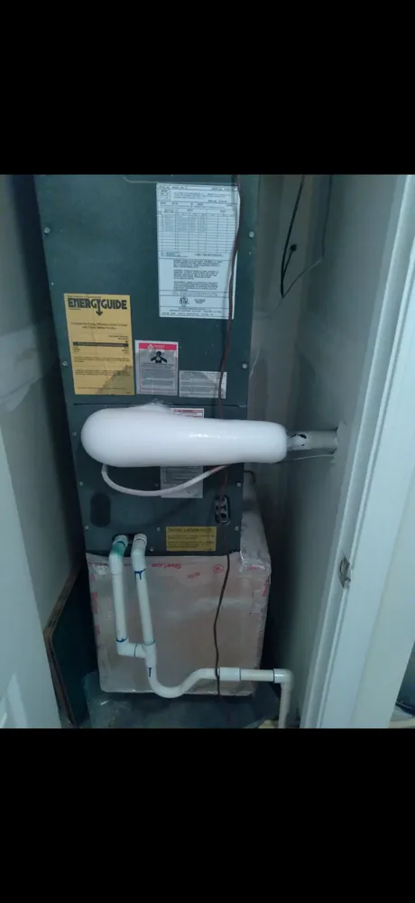 Local yard maintenance for year-round maintenance across Rock Hill, SC - Campbell's Complete Home Care