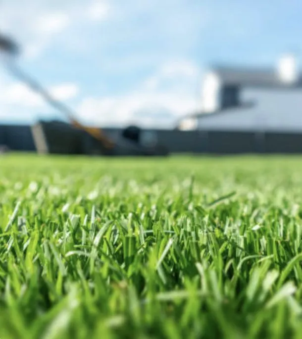 Top-rated yard maintenance in Broadway, VA - Campbell's Curb Appeal