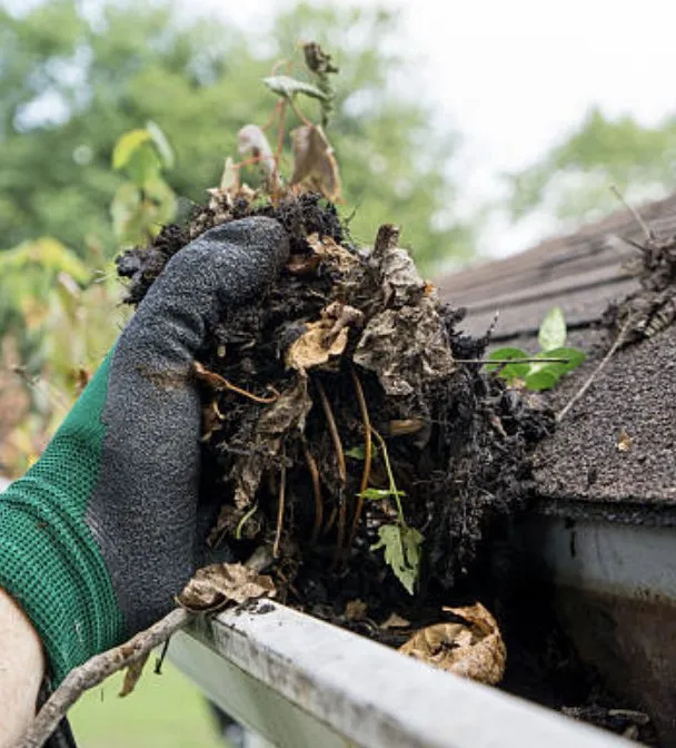Reliable lawn care service in Broadway, VA - Campbell's Curb Appeal