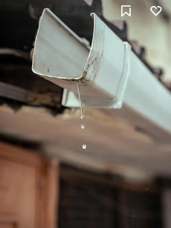 Trusted lawn mowing service in Broadway, VA - Campbell's Curb Appeal