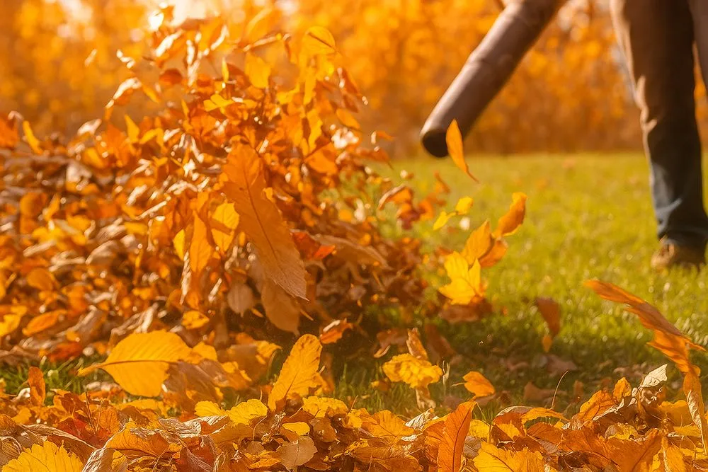 Local landscape installation in Ashland, MA by Campbells Landscape