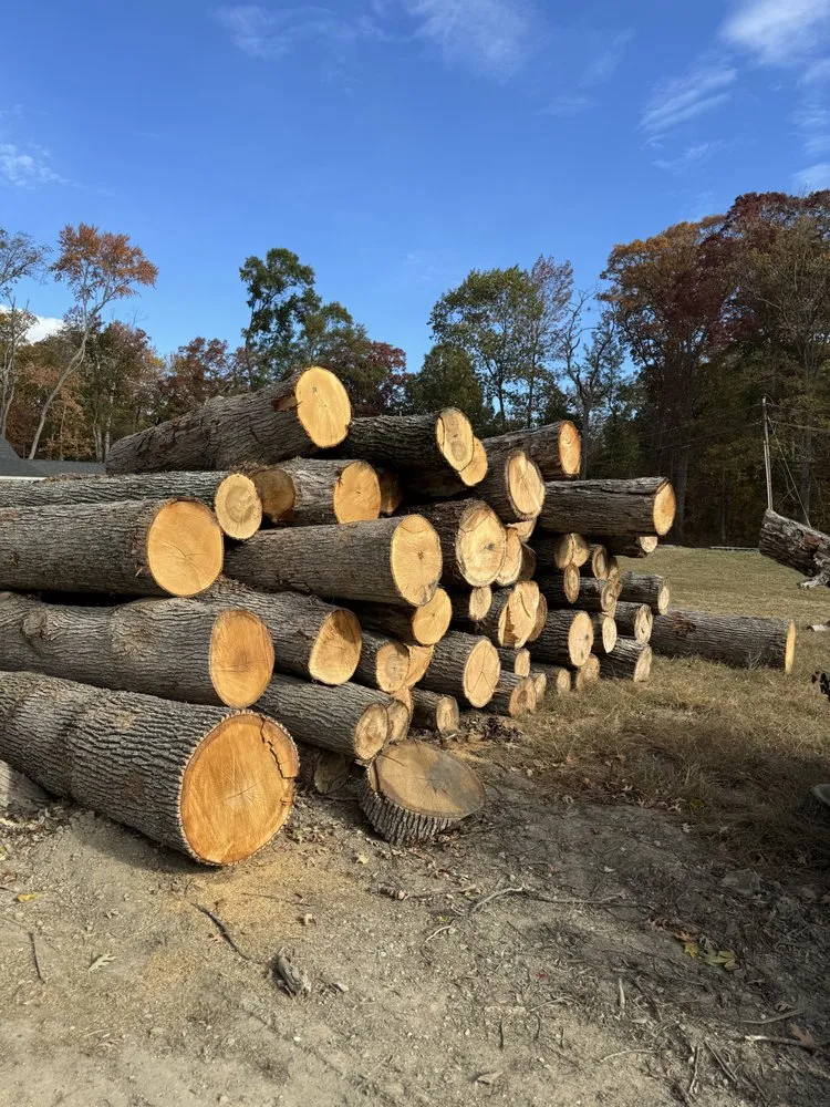 Professional garden landscaping experts serving Newark, DE - Campbell's landscape services