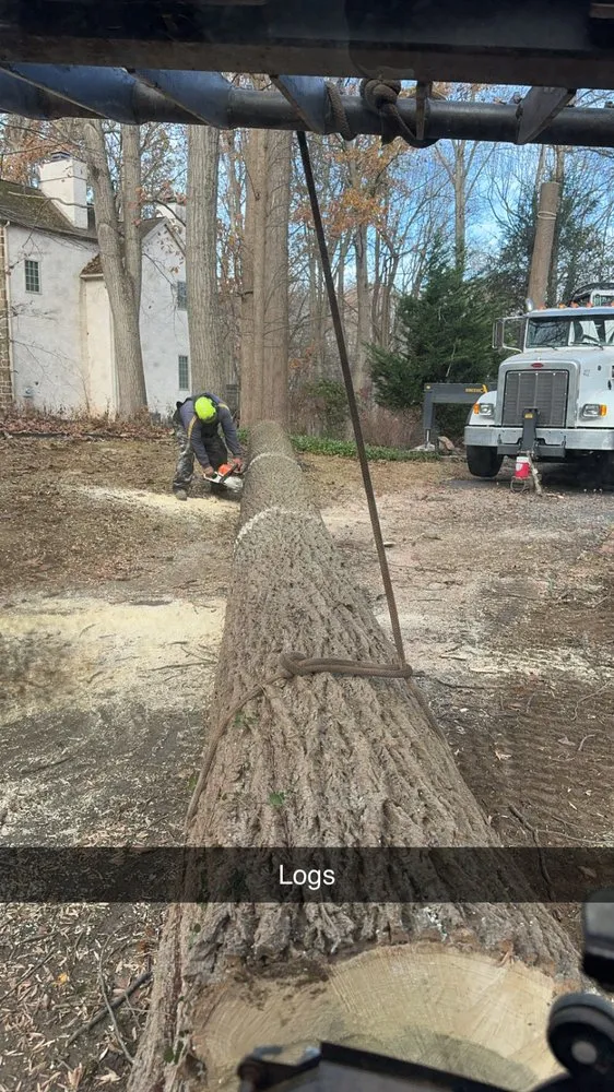 Trusted outdoor landscaping experts serving Newark, DE - Campbell's landscape services