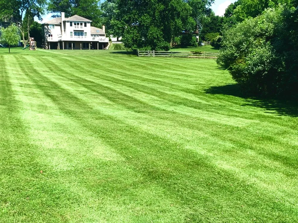 Professional landscape design for residential properties across Newark, DE - Campbell's landscape services