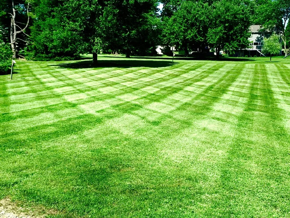 Local yard cleanup service experts serving Newark, DE - Campbell's landscape services