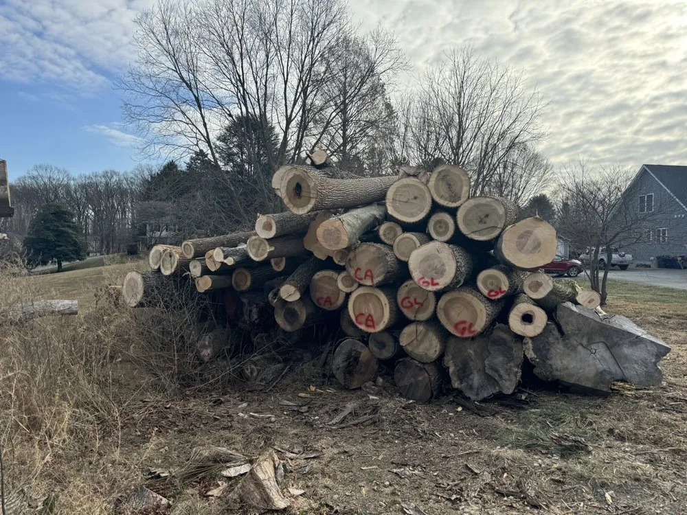 Trusted lawn mowing service experts serving Newark, DE - Campbell's landscape services