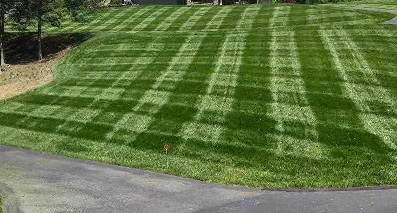 Professional lawn mowing service for residential properties across Bluff City, TN - Campbells Landscaping & Mowing