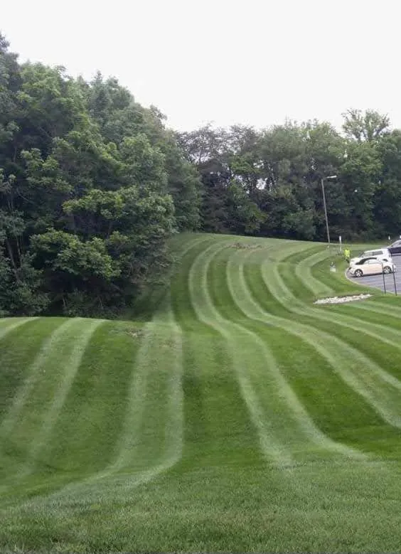 Trusted landscape installation in Bluff City, TN by Campbells Landscaping & Mowing