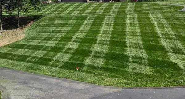 Campbells Landscaping & Mowing