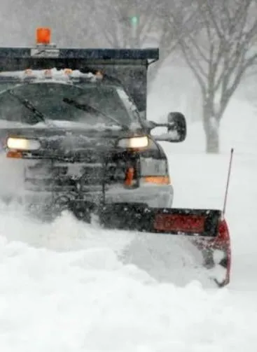 Expert landscape design experts serving Weymouth, MA - Campbell's Landscaping