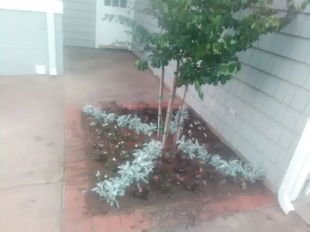 Expert residential landscaping in Guthrie, OK by Campbell's Lanscaping