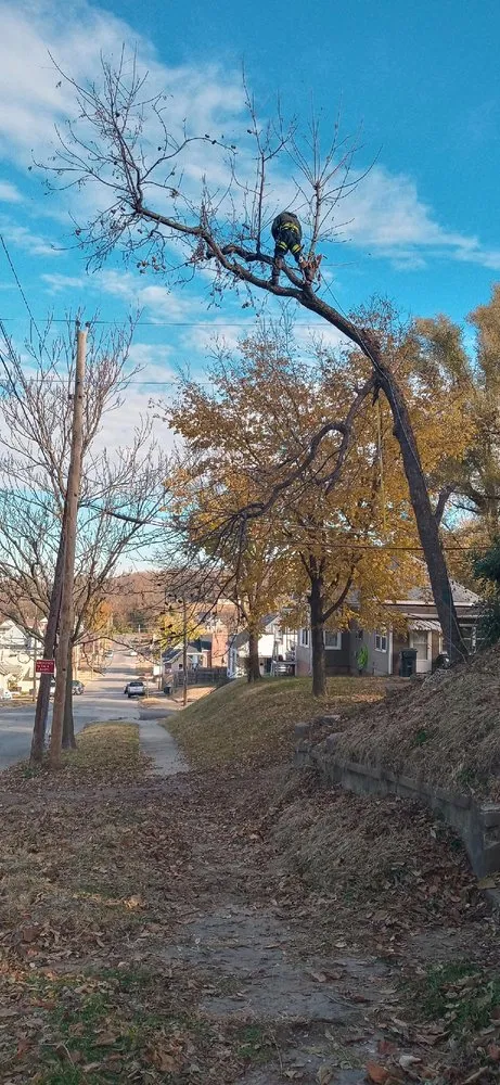 Affordable landscaping services in Saint Joseph, MO - Campbell's Lawn & Tree Service