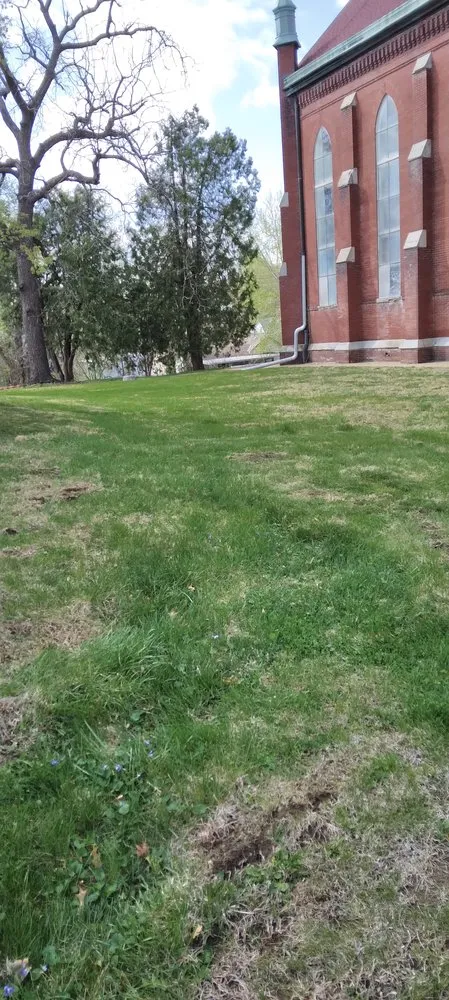 Professional landscape design in Saint Joseph, MO by Campbell's Lawn & Tree Service