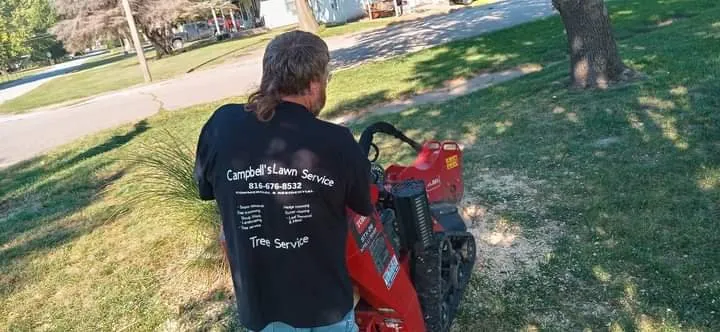 Custom lawn mowing service in Saint Joseph, MO - Campbell's Lawn & Tree Service