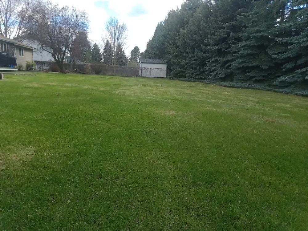 Custom yard maintenance experts serving Kalispell, MT - Campbell's Lawn and Garden Service