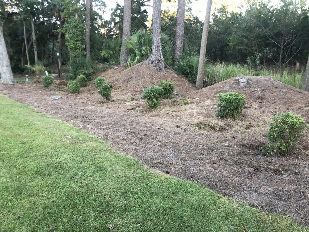 Local landscaping services in Savannah, GA by Campbells Lawn And Landscape