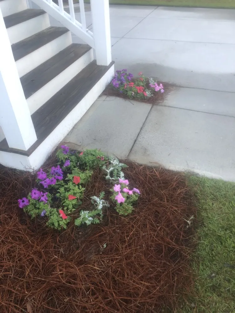 Professional landscaping services in Savannah, GA - Campbells Lawn And Landscape
