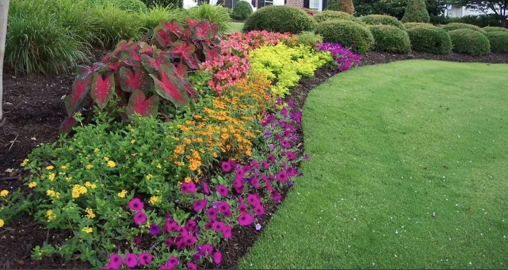 Trusted outdoor landscaping in Savannah, GA - Campbells Lawn And Landscape