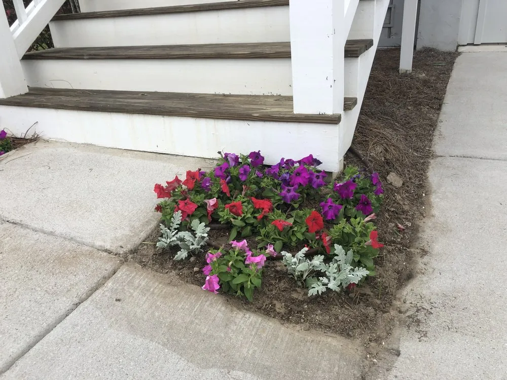 Local landscape installation in Savannah, GA - Campbells Lawn And Landscape