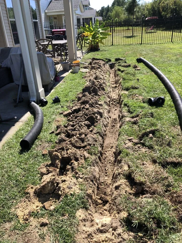 Professional landscaping services near you in Savannah, GA by Campbells Lawn And Landscape