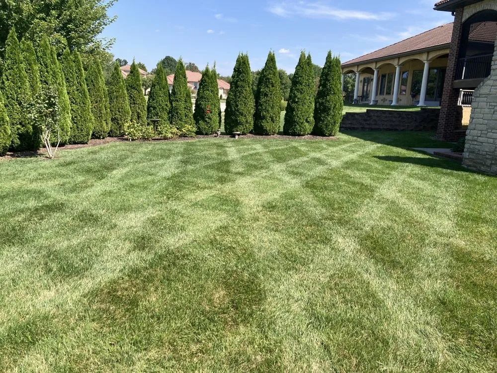 Custom yard cleanup service in Springfield, MO - Campbells Lawn Care
