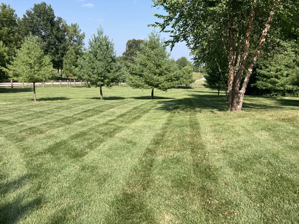 Expert yard maintenance for homes in Springfield, MO by Campbells Lawn Care