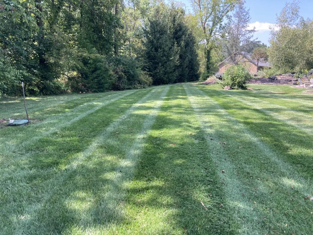 Local lawn care service in Springfield, MO - Campbells Lawn Care