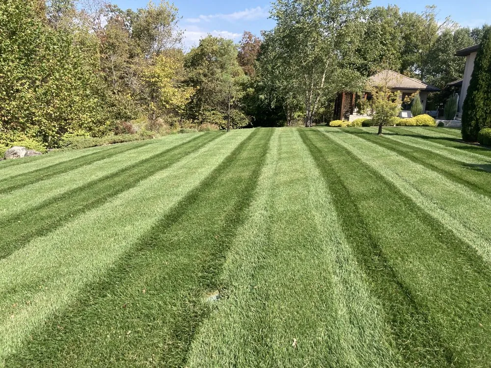 Local yard maintenance in Springfield, MO by Campbells Lawn Care