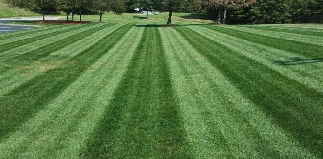 Trusted landscape installation near you across Inlet Beach, FL - Campbell's Lawn Service