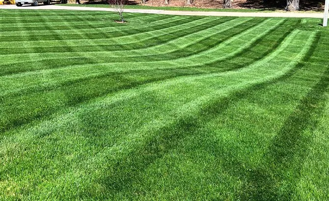 Expert landscaping services for homes in Inlet Beach, FL by Campbell's Lawn Service